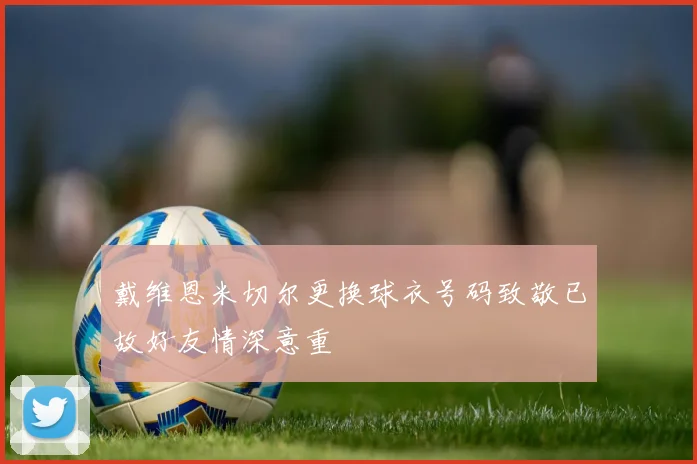 戴维恩米切尔更换球衣号码致敬已故好友情深意重